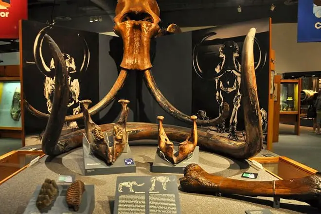 17 mejores cosas para hacer en Fairbanks, AK: ¡las mejores actividades y lugares para ir!