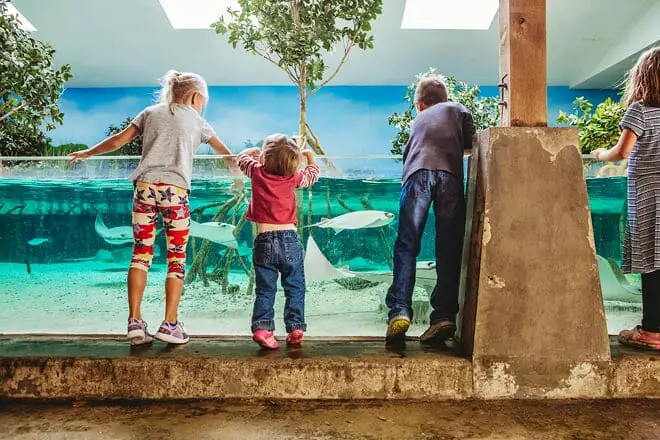 17 mejores cosas para hacer en Fort Wayne, IN: ¡las mejores actividades y lugares para ir!