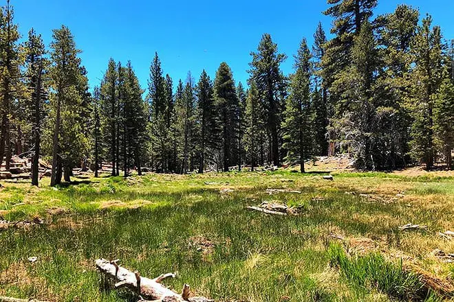 17 mejores cosas para hacer en Idyllwild, CA: ¡las mejores actividades y lugares para ir!