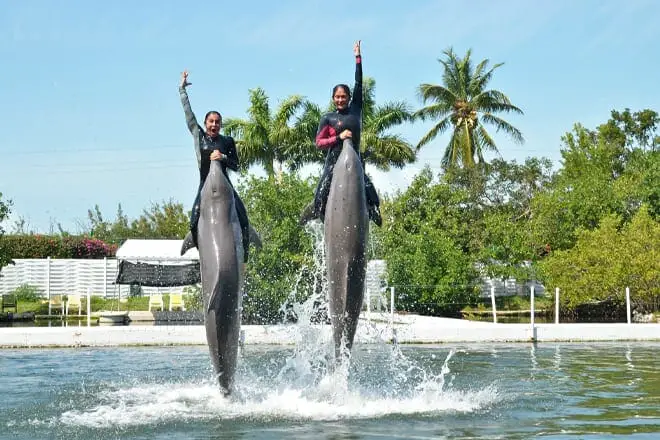 17 mejores cosas para hacer en Islamorada, FL: ¡las mejores actividades y lugares para ir!