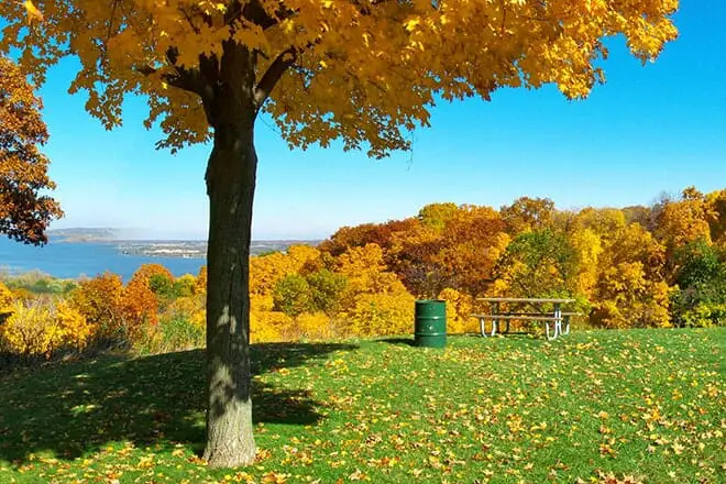 17 mejores cosas para hacer en Peoria, IL: ¡las mejores actividades y lugares para ir!