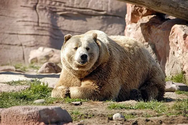 17 mejores cosas para hacer en Rapid City, SD: ¡las mejores actividades y lugares para ir!