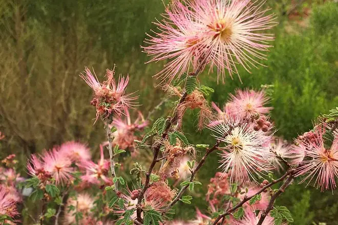 17 mejores cosas para hacer en St. George, UT: ¡las mejores actividades y lugares para ir!