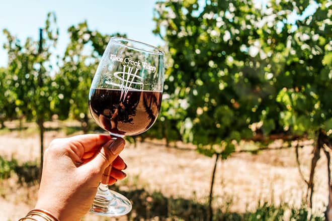 17 mejores cosas para hacer en Temecula, CA: ¡las mejores actividades y lugares para ir!