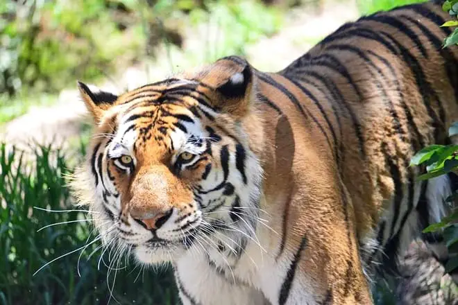 17 mejores cosas para hacer en Wichita, KS: ¡las mejores actividades y lugares para ir!