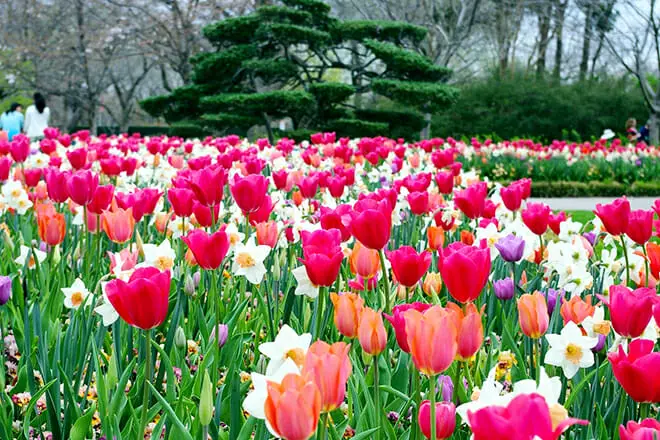 20 cosas que hacer en Dallas con un adolescente: ¡actividades y lugares divertidos!