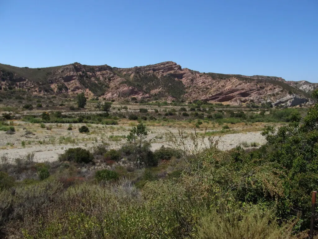 Crédito de la foto: Ken Lund (Flickr CC)