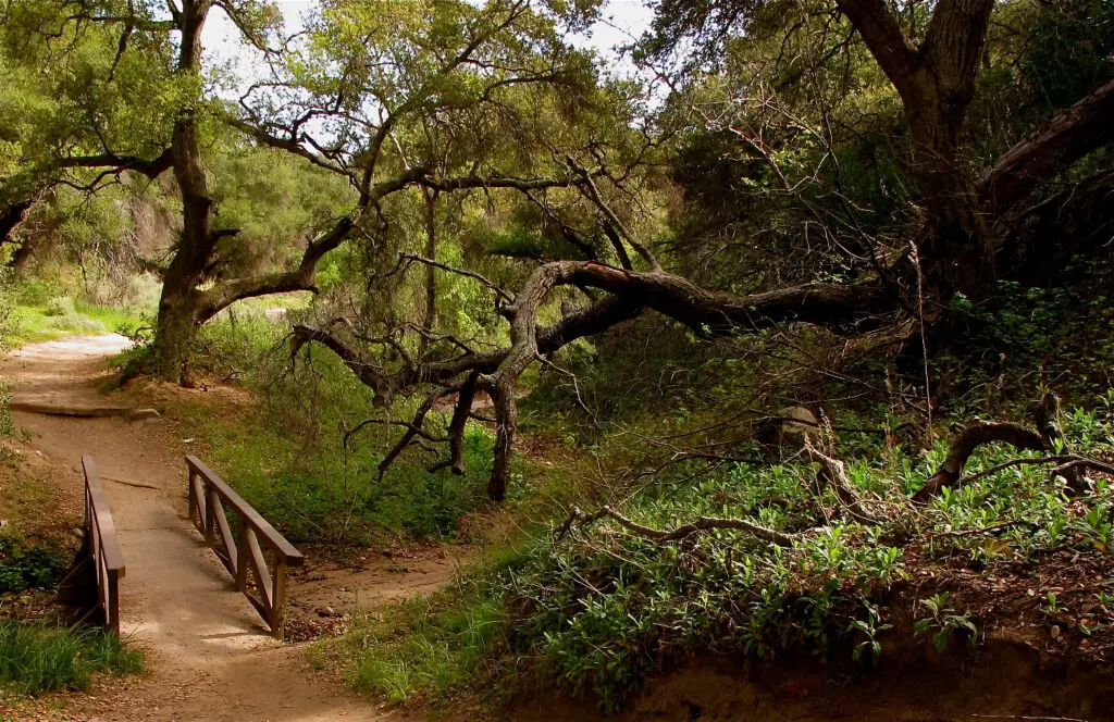 Crédito de la foto: Terry Tyson (Flickr CC)