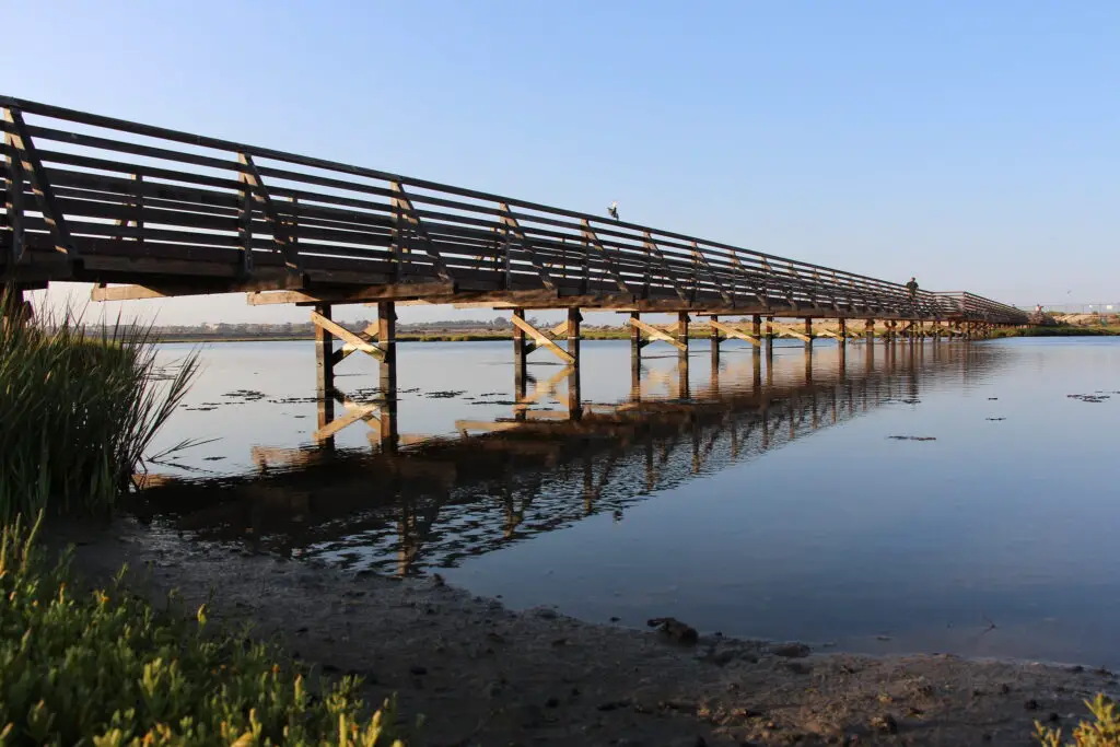 Crédito de la foto: Chris Jepsen (Flickr CC)