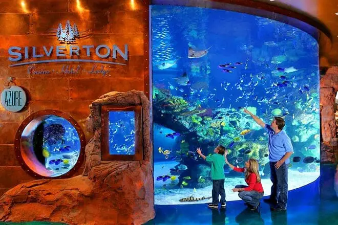 25 cosas divertidas para hacer gratis en Las Vegas, NV: ¡lugares para ir gratis!