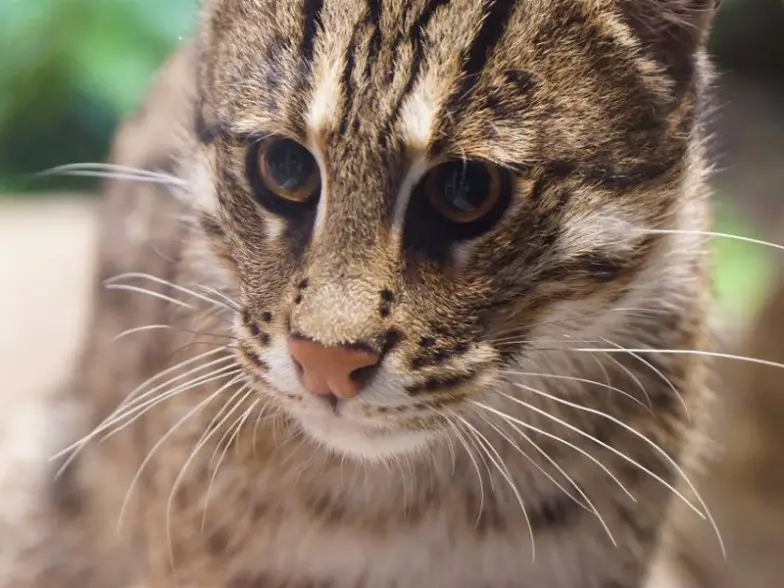 6 mejores cosas para hacer en Greensboro, Carolina del Norte