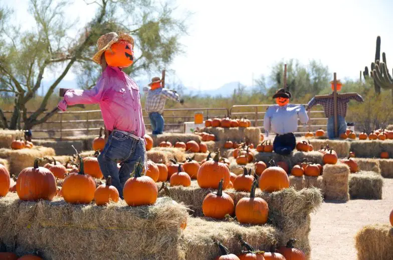 7 parcelas de calabazas de Arizona para visitar este otoño