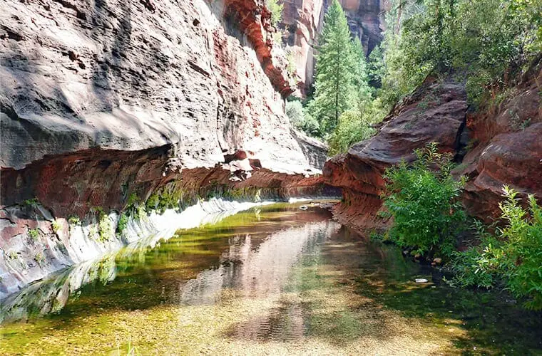 9 caminatas fáciles en Sedona con niños: las mejores rutas para principiantes
