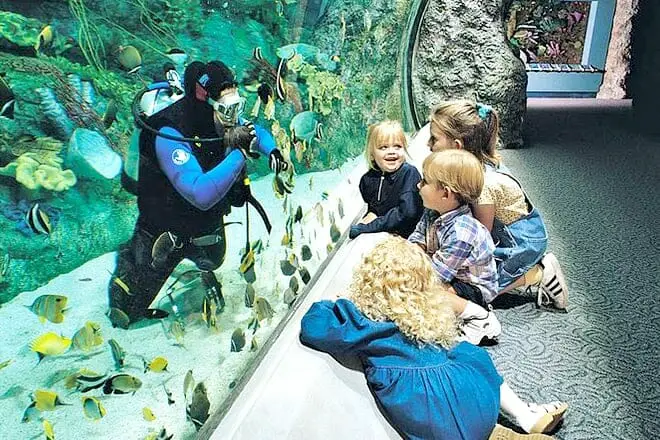 9 cosas divertidas para hacer cerca de Los Ángeles, CA: ¡los mejores lugares para visitar cerca!