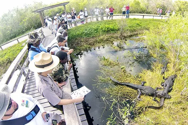 9 cosas divertidas para hacer cerca de Miami Beach: ¡los mejores lugares para visitar cerca!