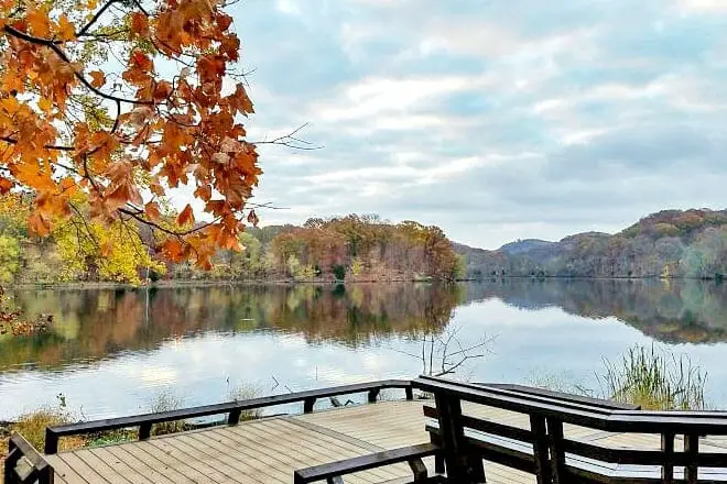 9 cosas divertidas para hacer cerca de Nashville, TN: ¡los mejores lugares para visitar cerca!