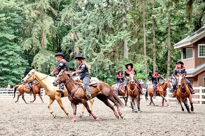 9 cosas divertidas para hacer cerca de Seattle, Washington: ¡los mejores lugares para visitar cerca!