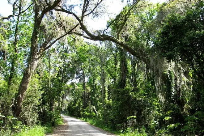 9 cosas divertidas para hacer cerca de Savannah, GA: ¡los mejores lugares para visitar cerca!