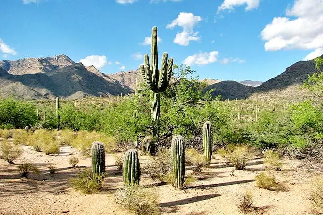 9 cosas divertidas para hacer cerca de Tucson, AZ: ¡los mejores lugares para visitar cerca!