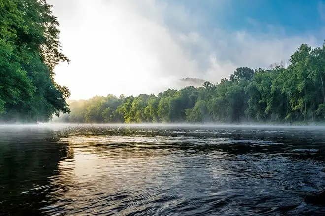 9 cosas divertidas para hacer cerca de Washington DC: ¡los mejores lugares para visitar cerca!