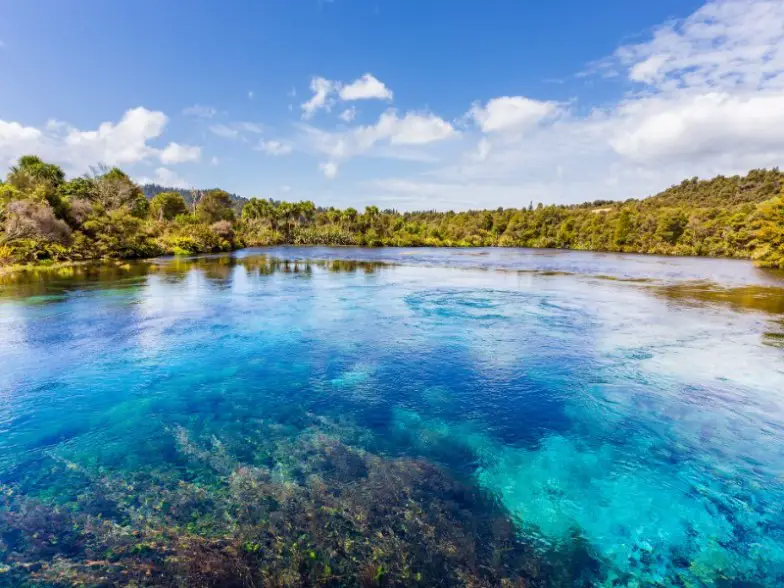 9 cosas que no sabías que podías hacer en Nueva Zelanda