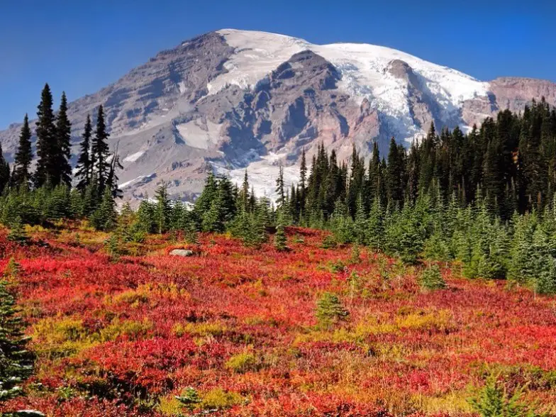 9 mejores cosas para hacer en el Parque Nacional Monte Rainier