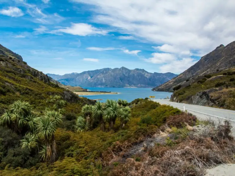 9 viajes épicos por carretera en Nueva Zelanda