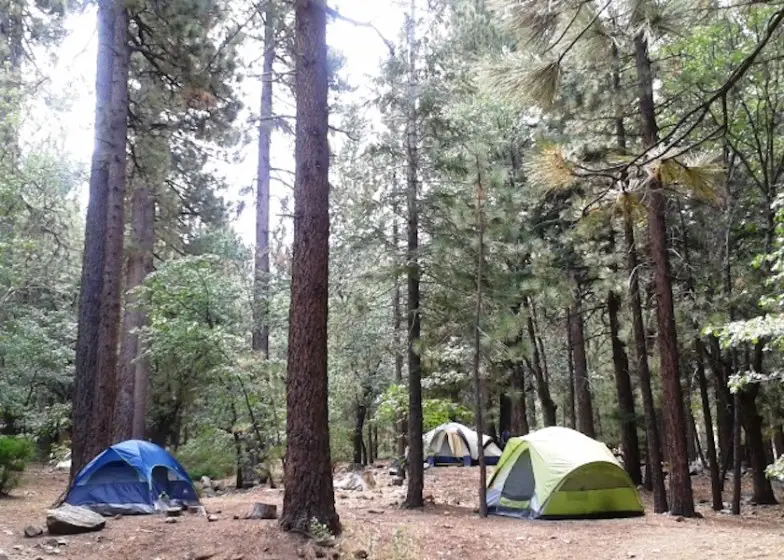 Camping cerca de Big Bear: 12 campings mejor calificados dentro de una hora en coche
