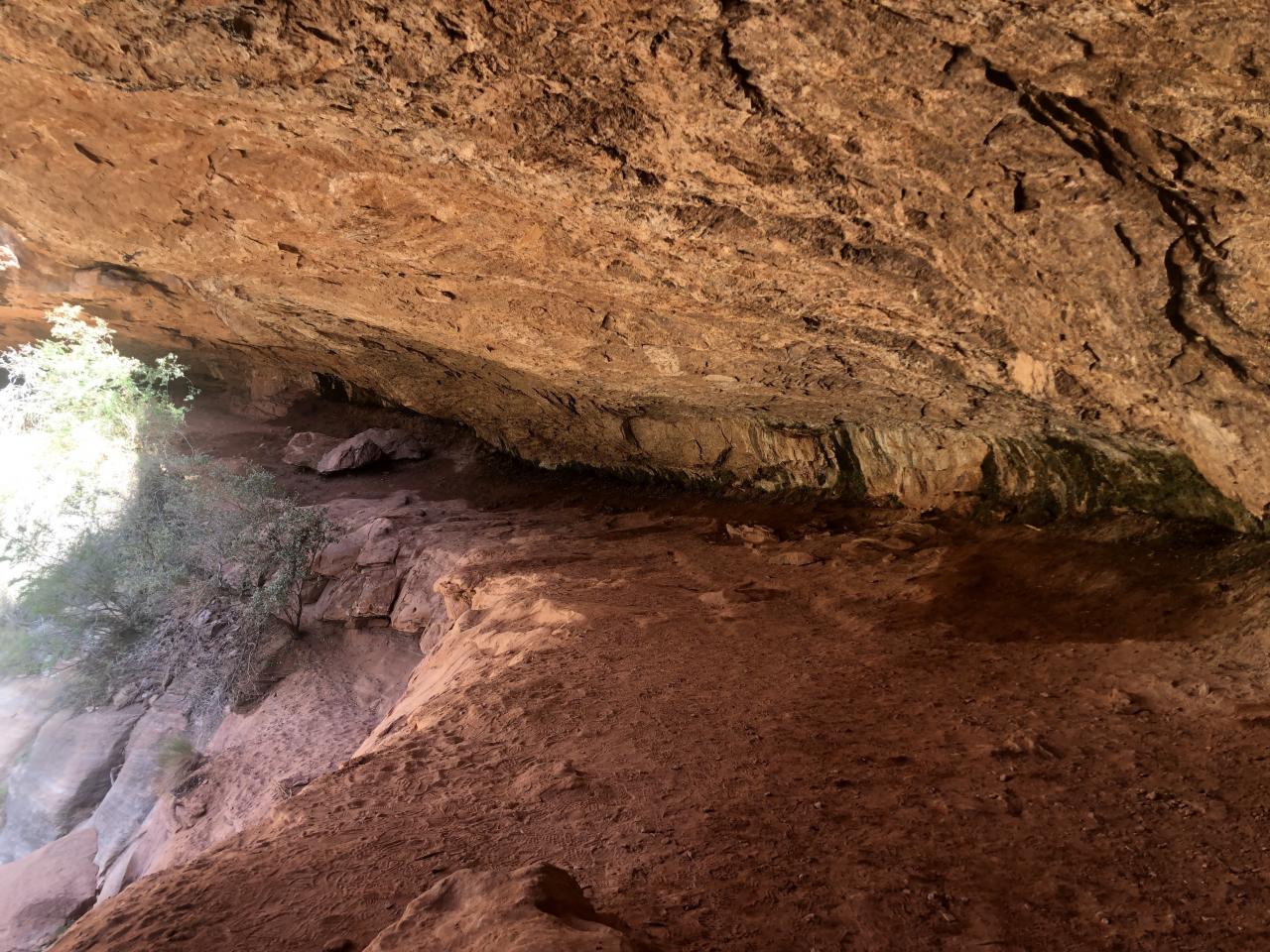 Una alcoba sombreada en el sendero Canyon Overlook en Zion.