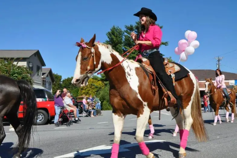 Celebre el jarabe en el Festival del Sorgo de Blairsville en Georgia