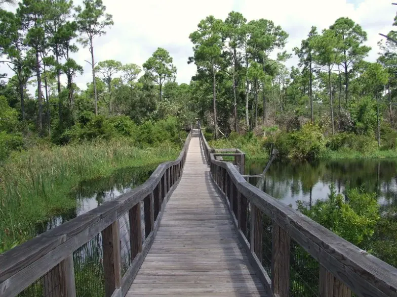 Disfrute de la belleza natural de Florida en el parque estatal Big Lagoon