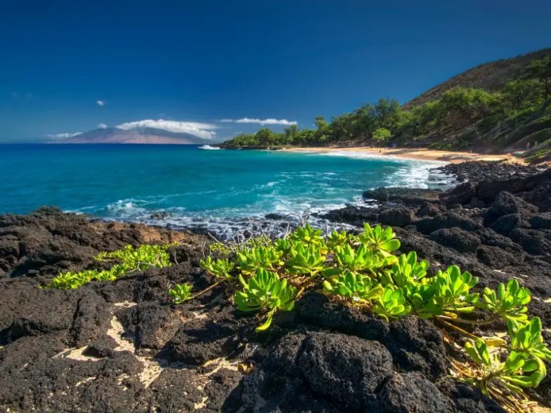 Dónde alojarse en Maui – Guía de barrios