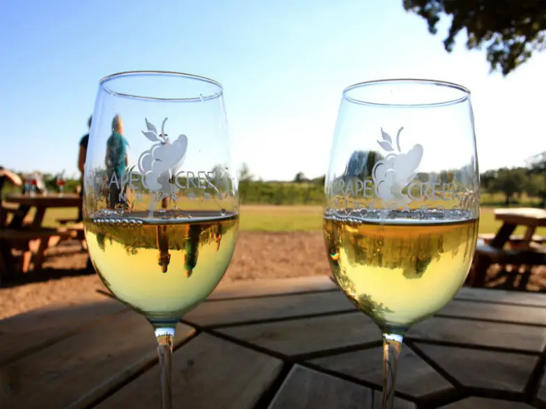 El servicio 290 Wine Shuttle lleva a los visitantes a 14 bodegas de Texas