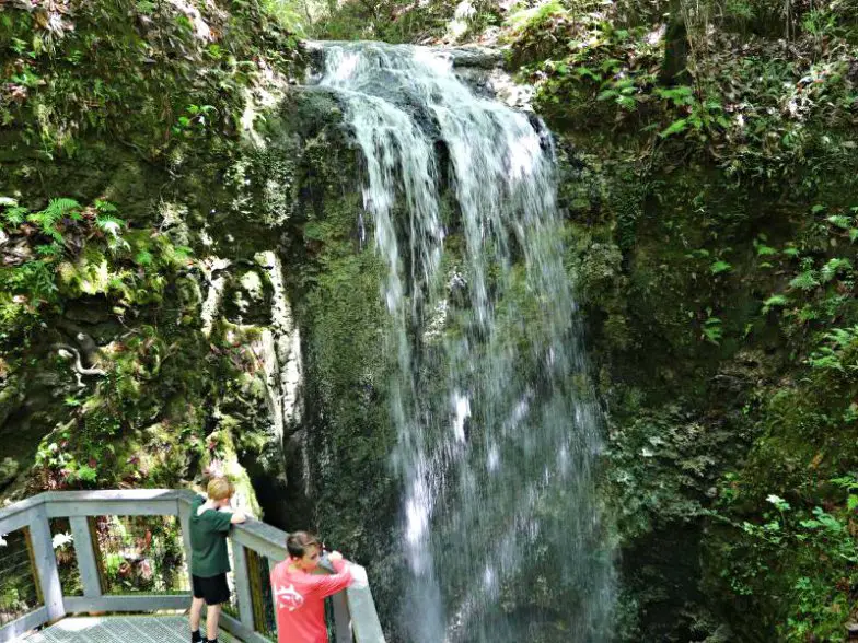 Explore la naturaleza en el parque estatal Falling Waters en Florida
