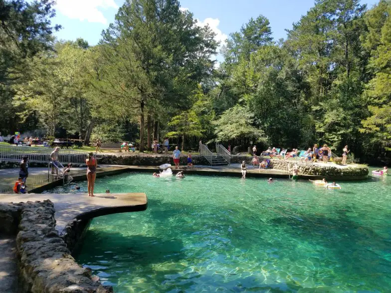 La guía definitiva de Florida Springs (mapa + recursos)