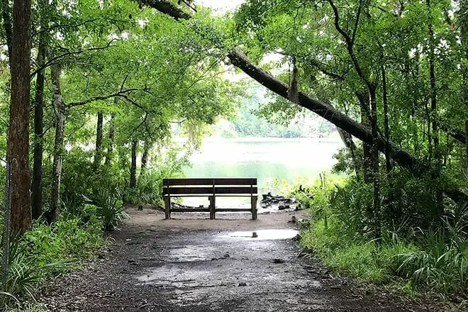 Las 10 mejores cosas para hacer en Orange Park, FL: ¡las mejores actividades y lugares para ir!