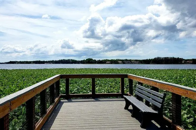 Las 10 mejores cosas para hacer en Palm Harbor, FL: ¡las mejores actividades y lugares para ir!