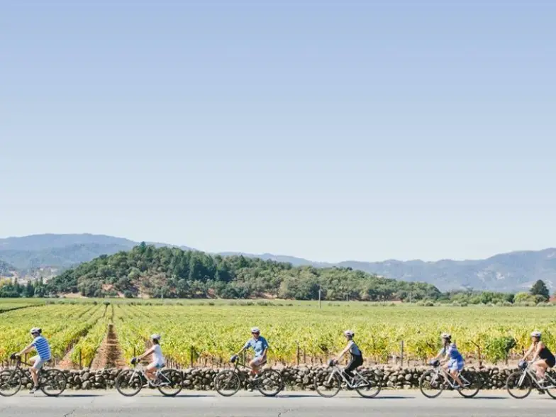 Ciclistas con Napa Valley Bike Tours