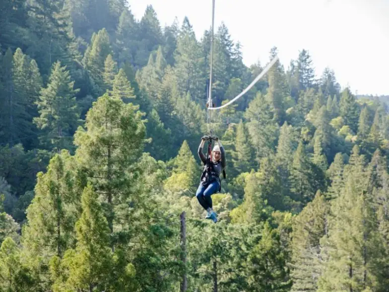 Excursiones de Canopy en Sonoma