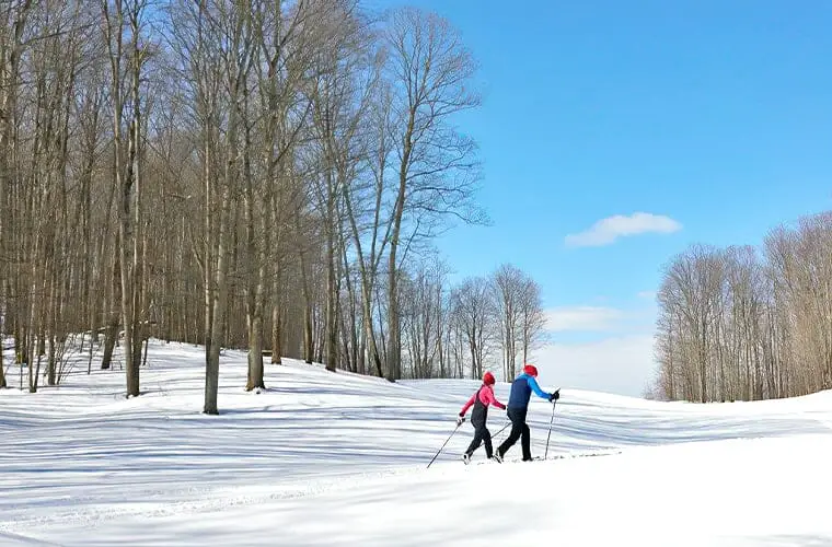 Las 10 mejores vacaciones familiares de invierno en Michigan: los mejores destinos aptos para niños