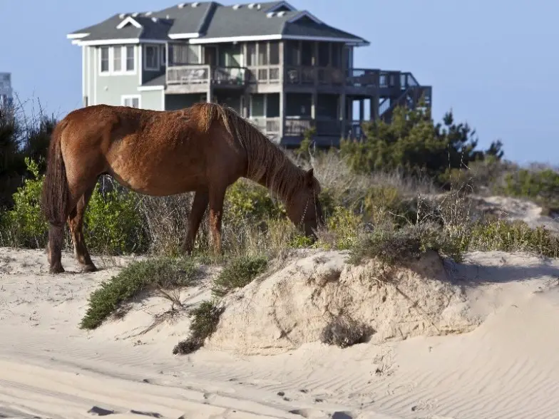 Las 10 mejores vacaciones familiares en la playa