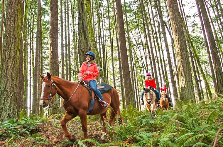 Las 13 mejores vacaciones para niños menores de 10 años: ¡lugares divertidos para visitar!