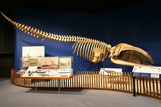 Las 17 mejores cosas para hacer en Albany, Nueva York: ¡las mejores actividades y lugares para ir!