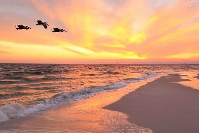 Las 17 mejores cosas para hacer en Anna Maria Island, FL: ¡las mejores actividades y lugares para ir!