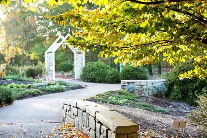 Las 17 mejores cosas para hacer en Athens, GA: ¡las mejores actividades y lugares para ir!