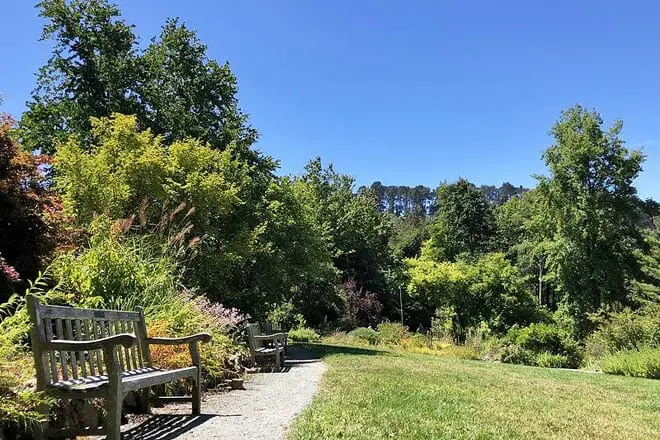 Las 17 mejores cosas para hacer en Berkeley, CA: ¡las mejores actividades y lugares para ir!