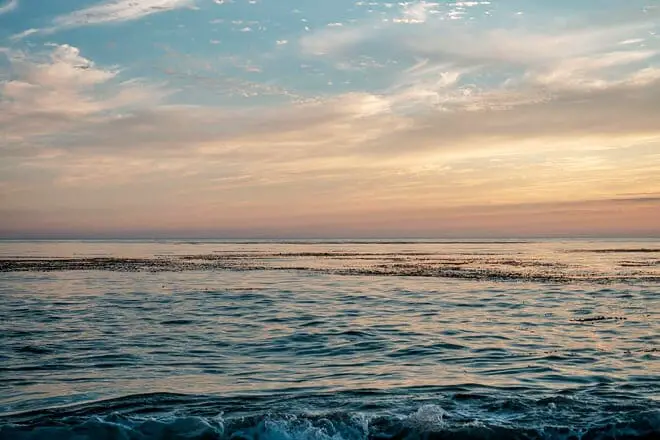 Las 17 mejores cosas para hacer en Carmel, CA: ¡las mejores actividades y lugares para ir!