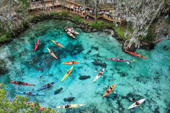 Las 17 mejores cosas para hacer en Crystal River, FL: ¡las mejores actividades y lugares para ir!