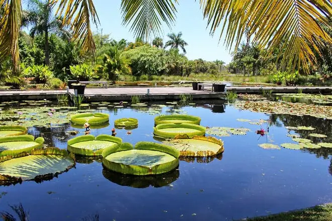 Las 17 mejores cosas para hacer en el sur de Florida: ¡las mejores actividades y lugares para ir!