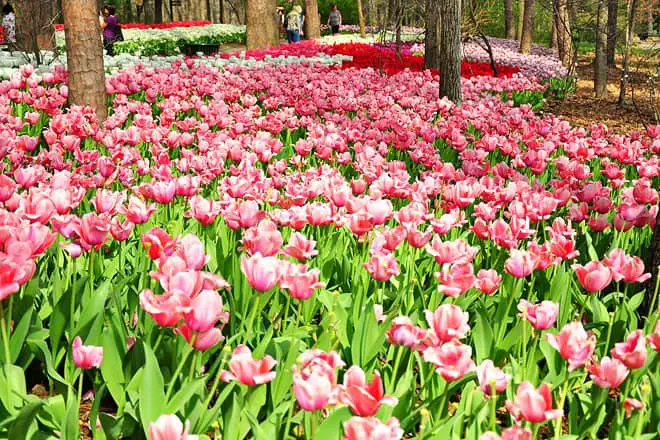 Las 17 mejores cosas para hacer en Hot Springs, AR: ¡las mejores actividades y lugares para ir!